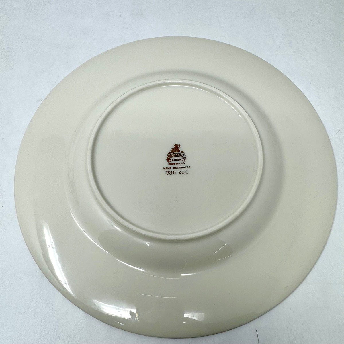 Set of 12 Dinner Plates