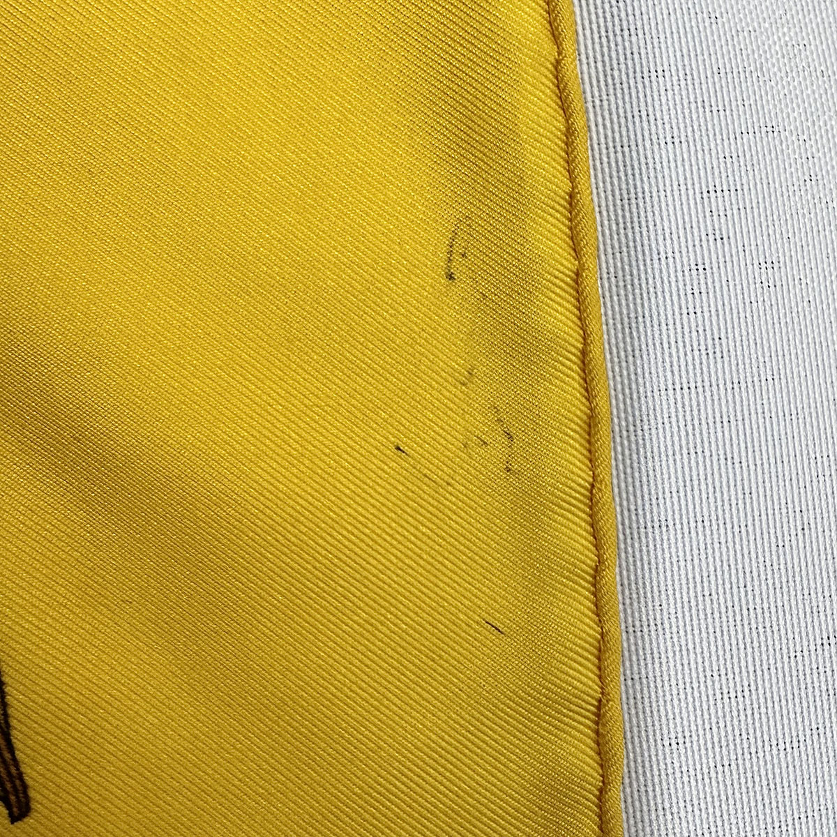 Hermes "Le Paradis du Roy" Scarf