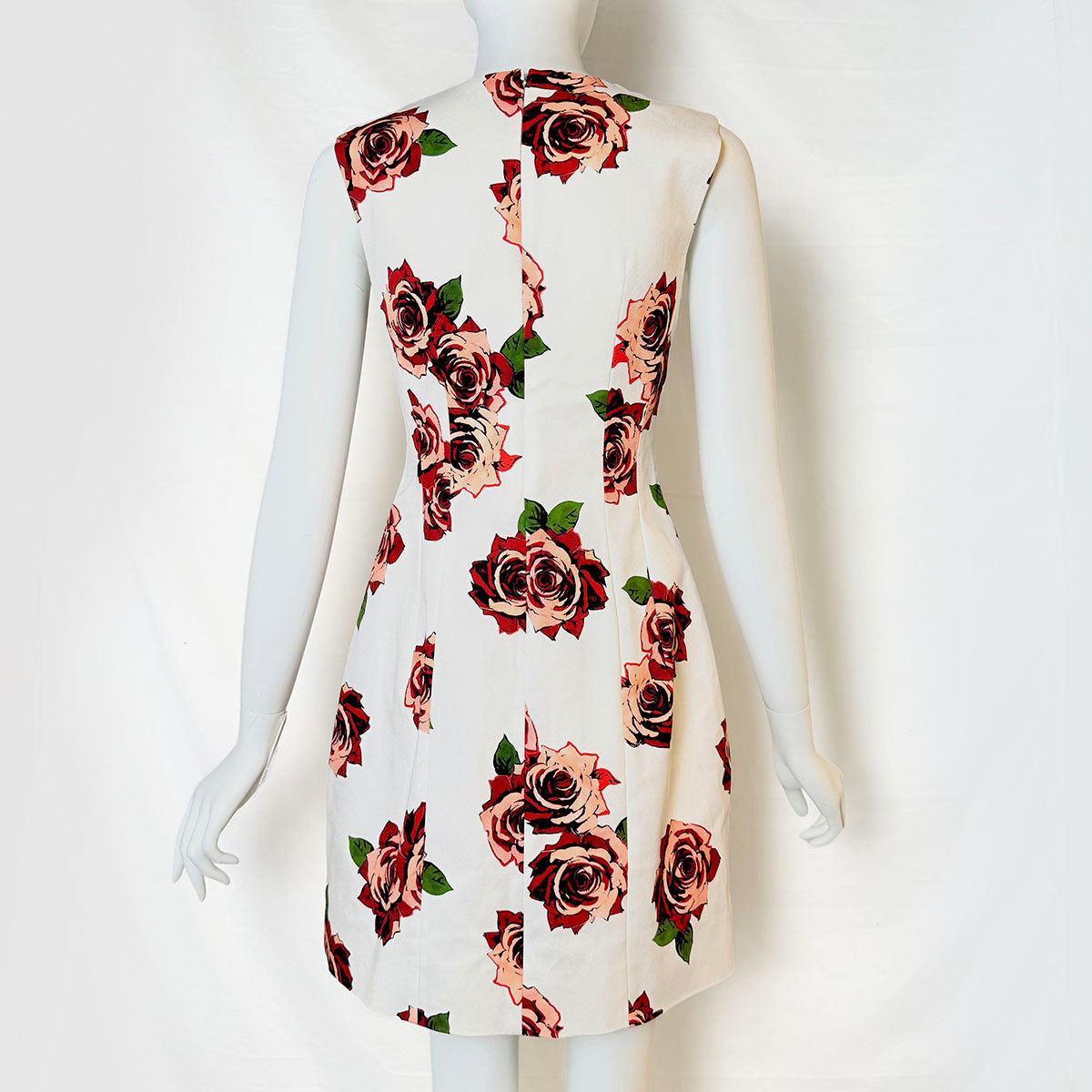 Adam Lippes Dress