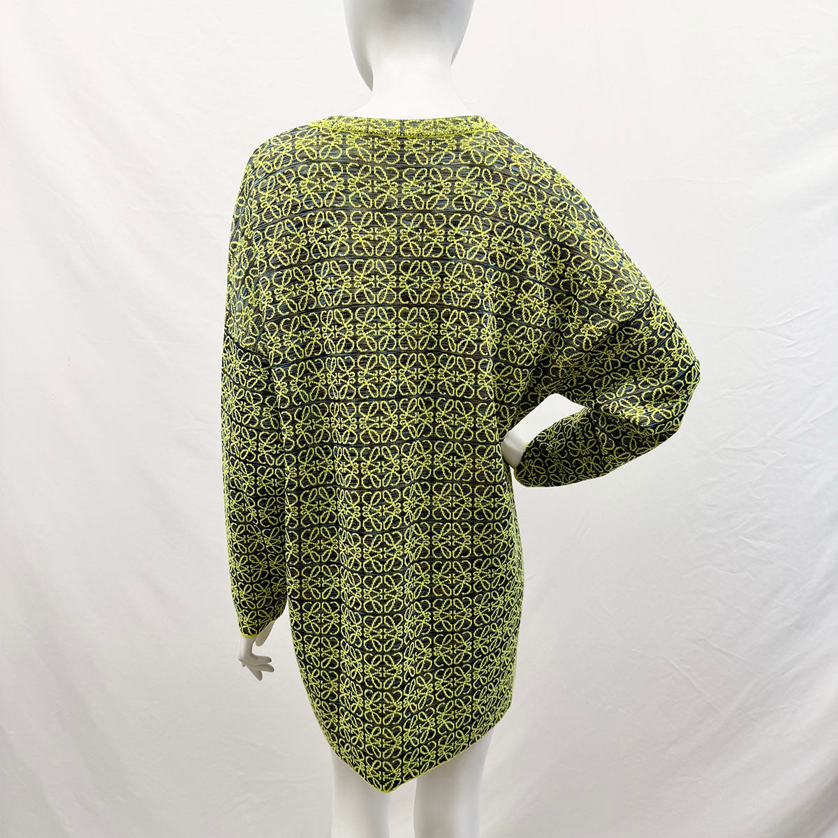Loewe Dress