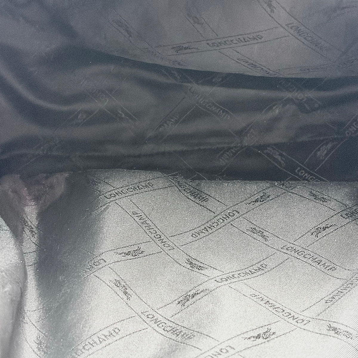 Longchamp Backpack