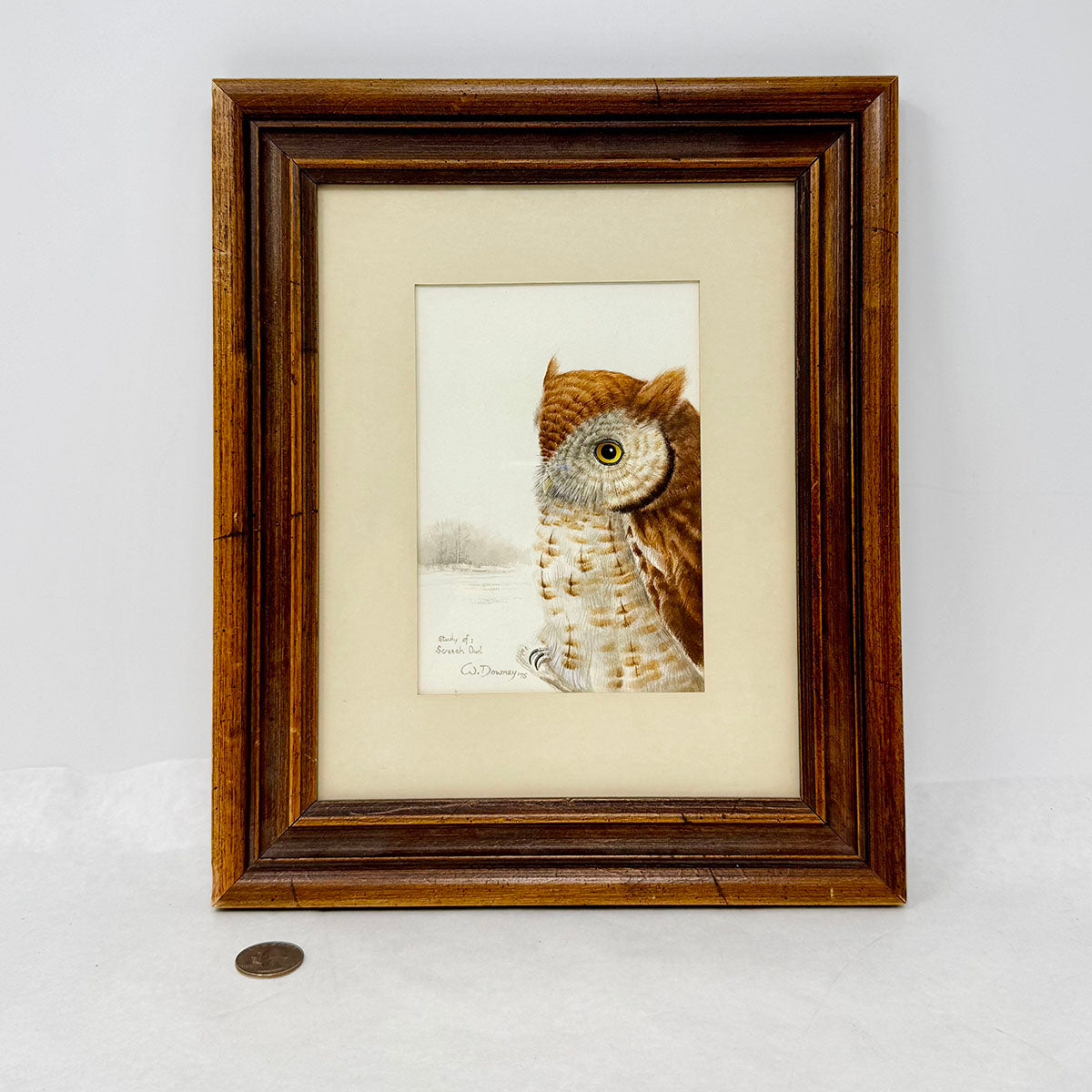 Framed Painting "Study of a Screech Owl" signed