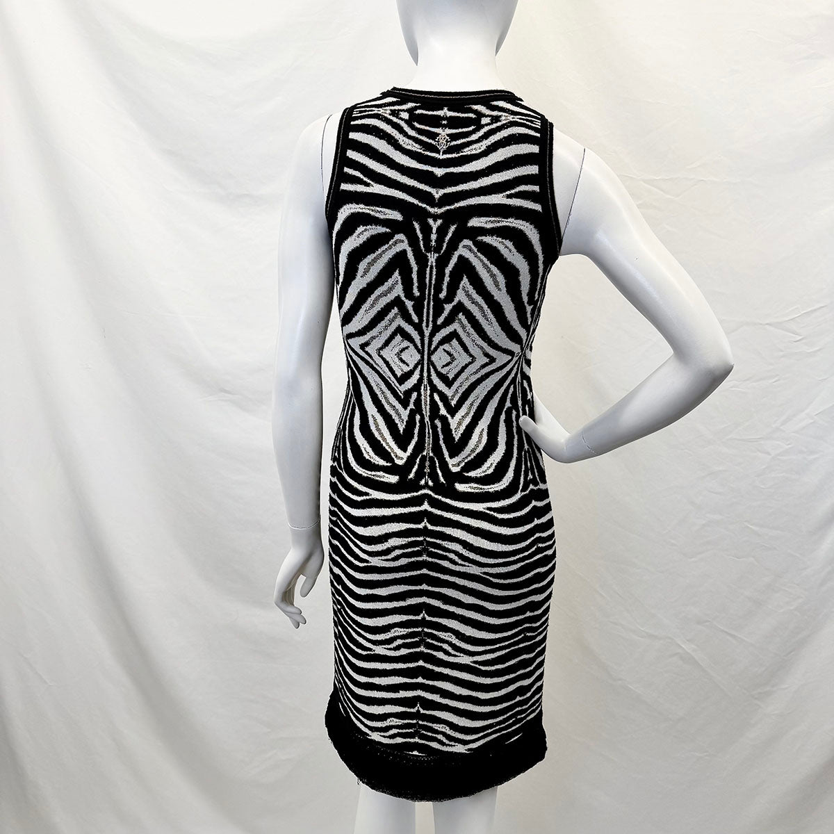 Roberto Cavalli Dress