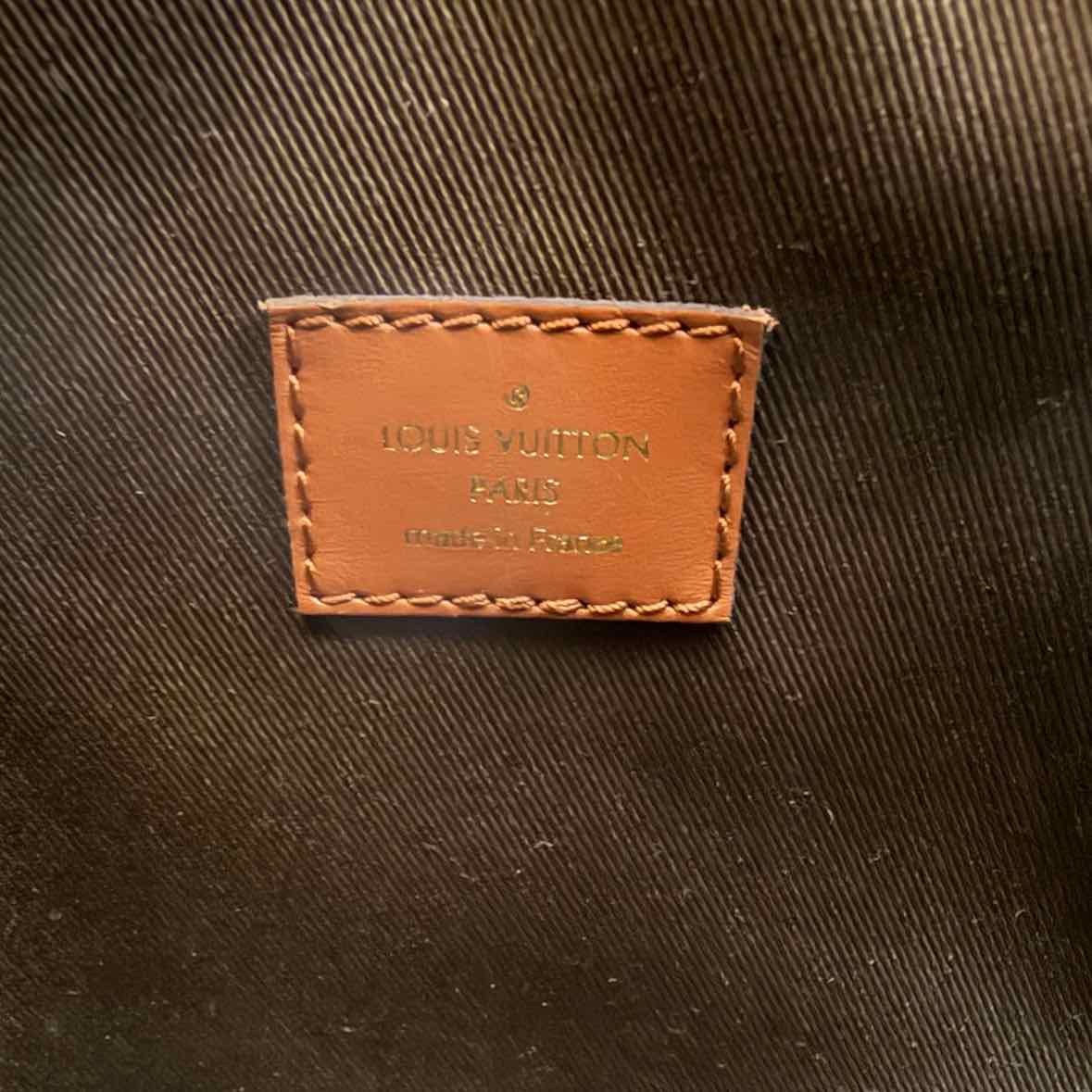 Louis Vuitton Hobo