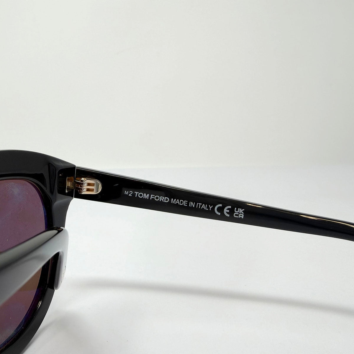 Tom Ford Odette Tinted Sunglasses