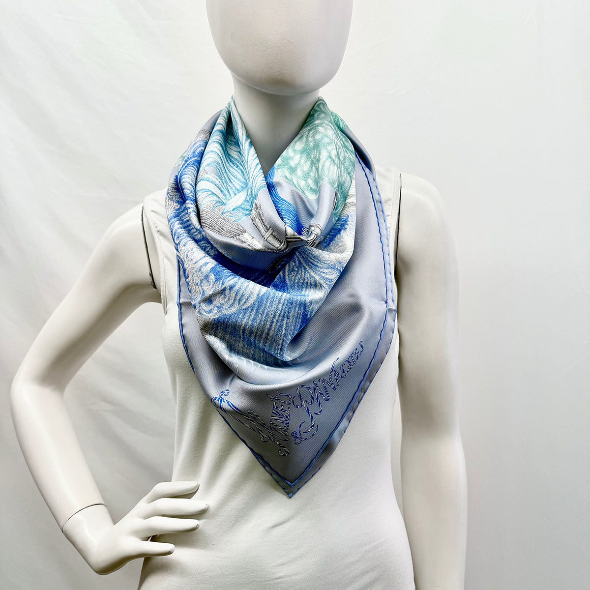 Hermes  "Plumets et Panaches" Scarf