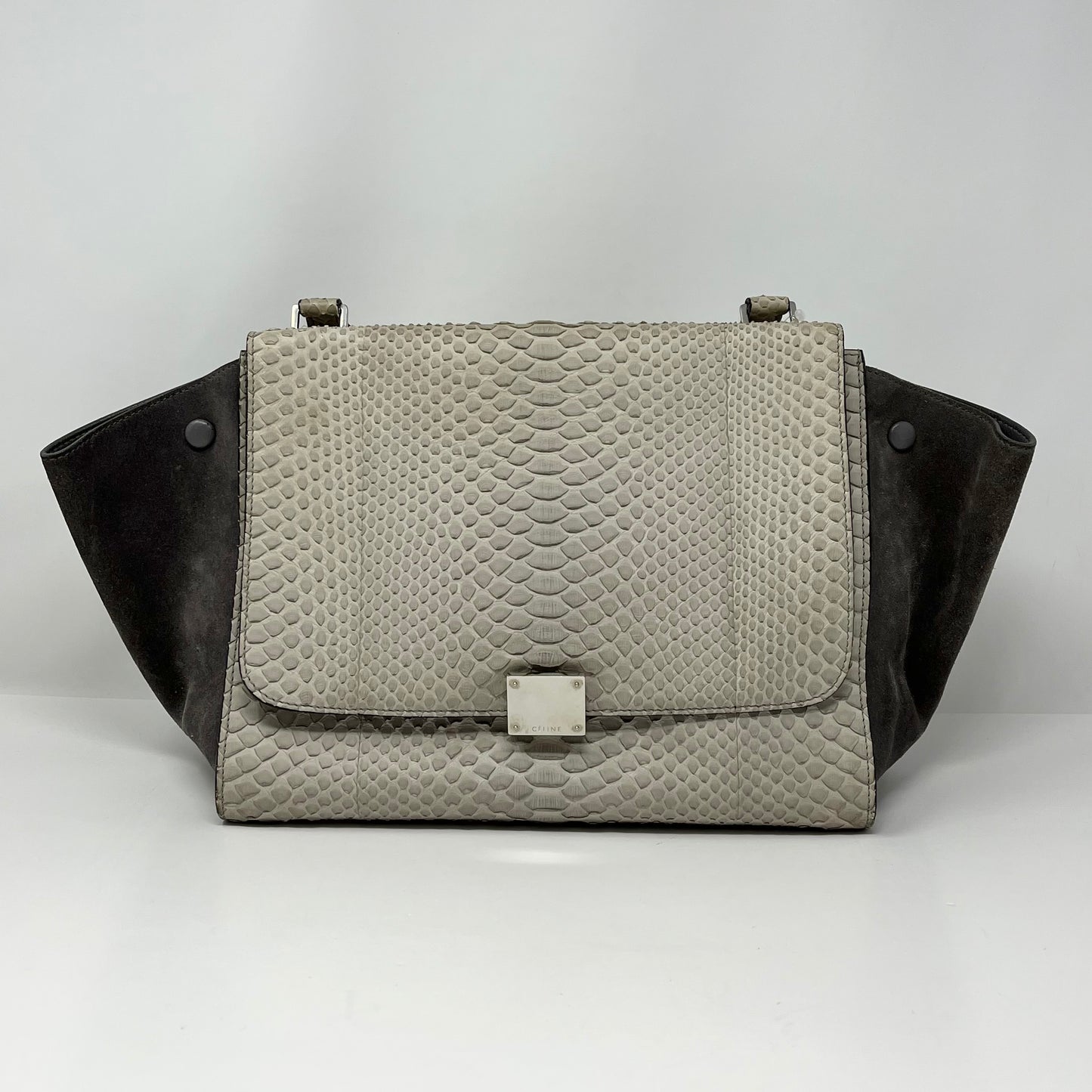 Celine Python Trapeze Shoulder Bag