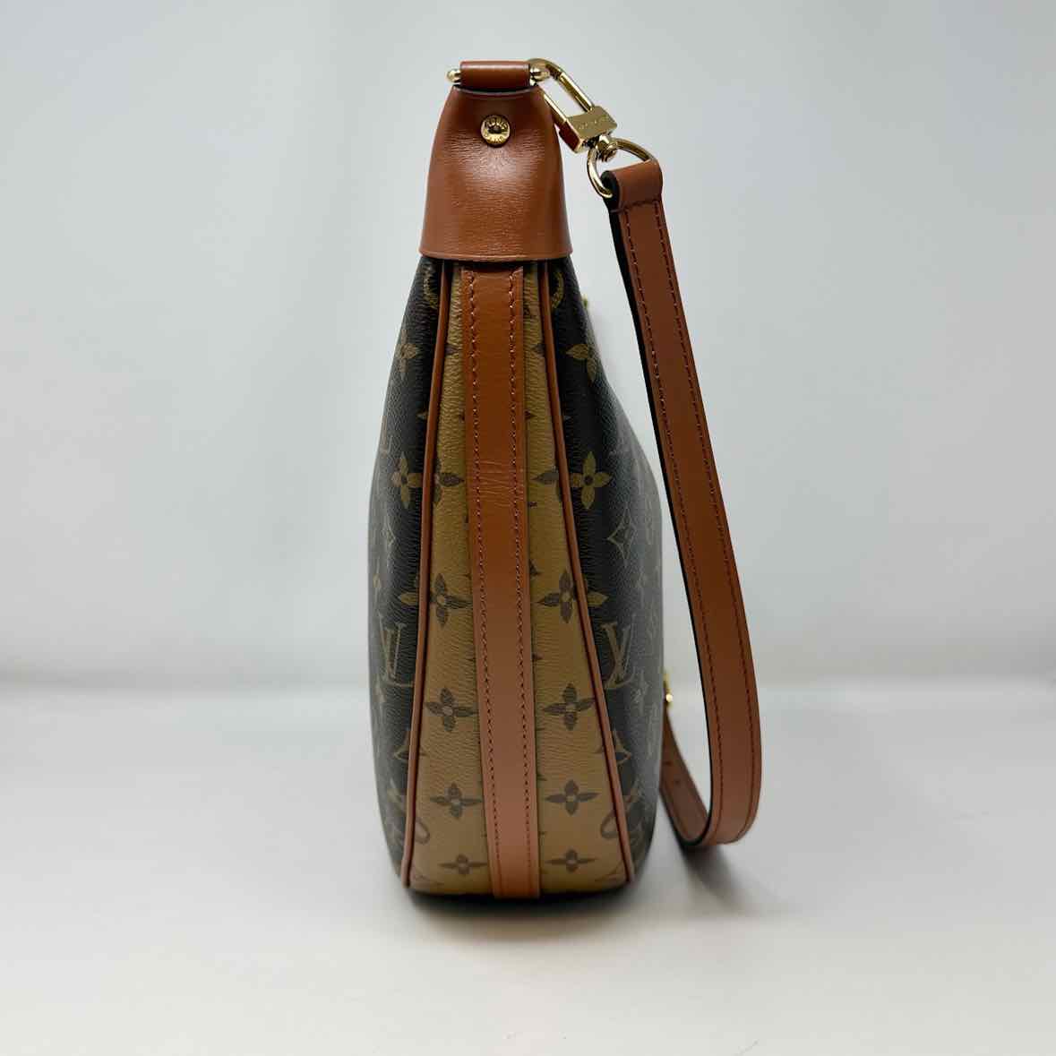 Louis Vuitton Hobo