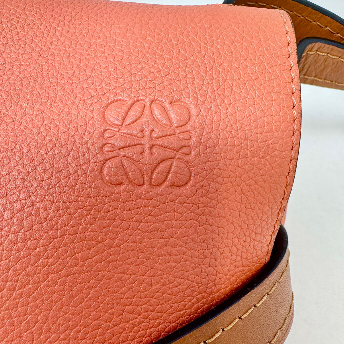 Loewe Gate Crossbody