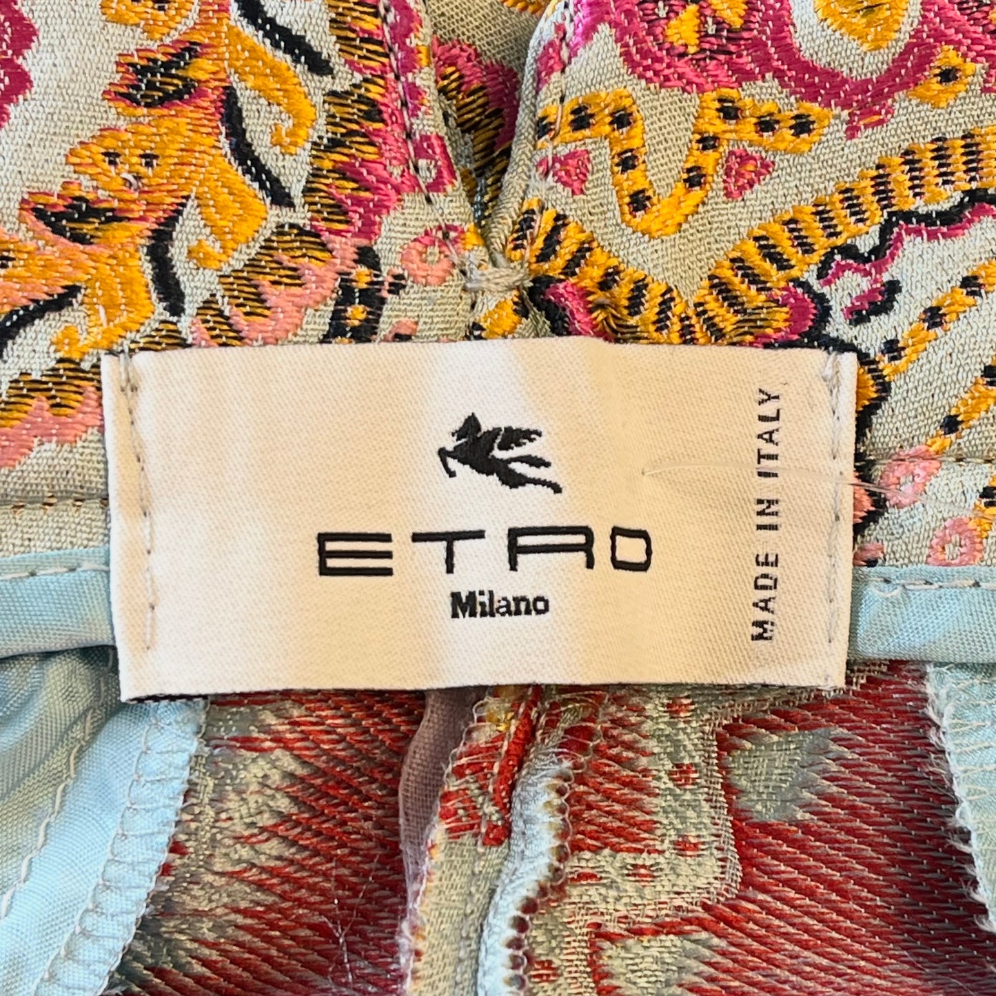 Etro Pants