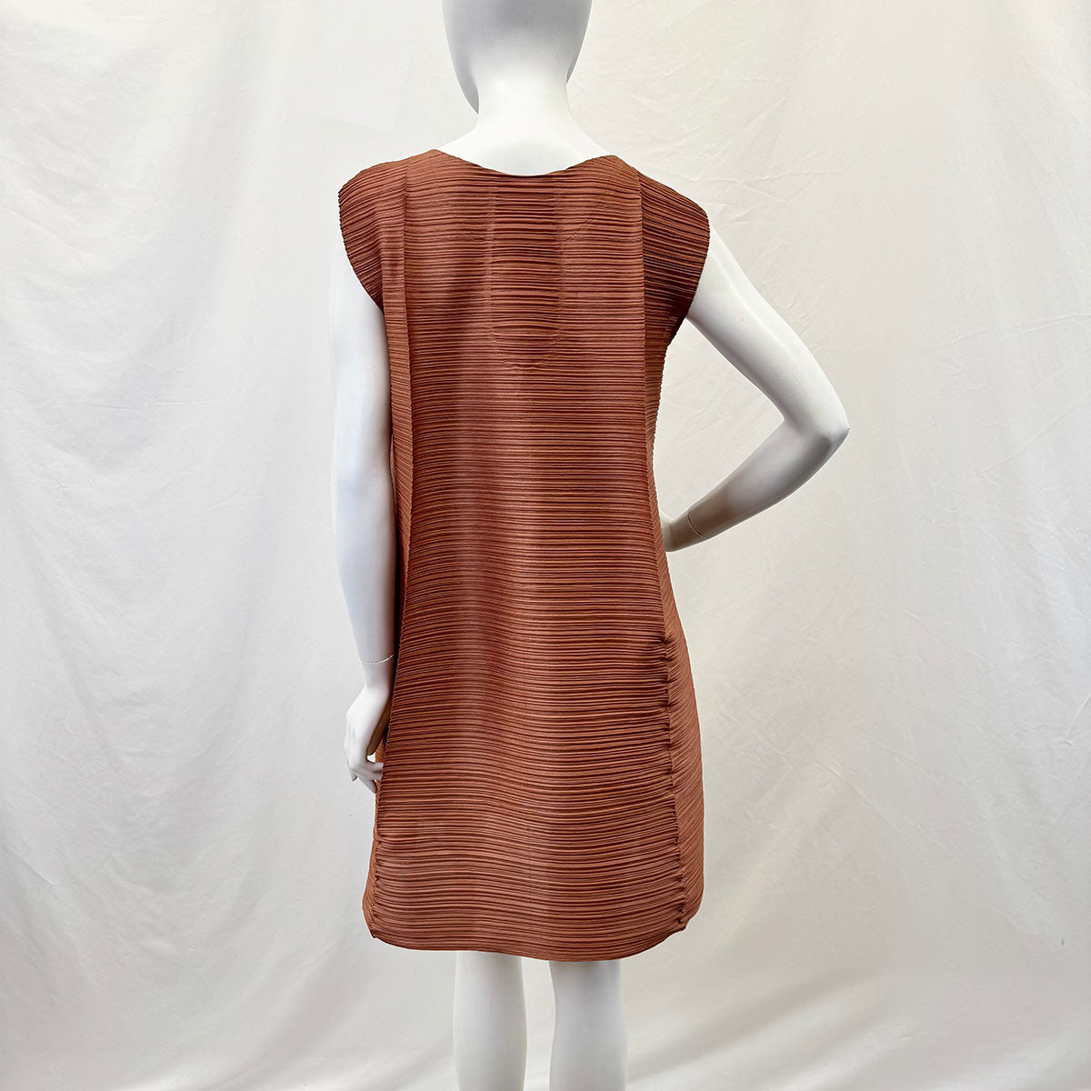 Pleats Please Dress