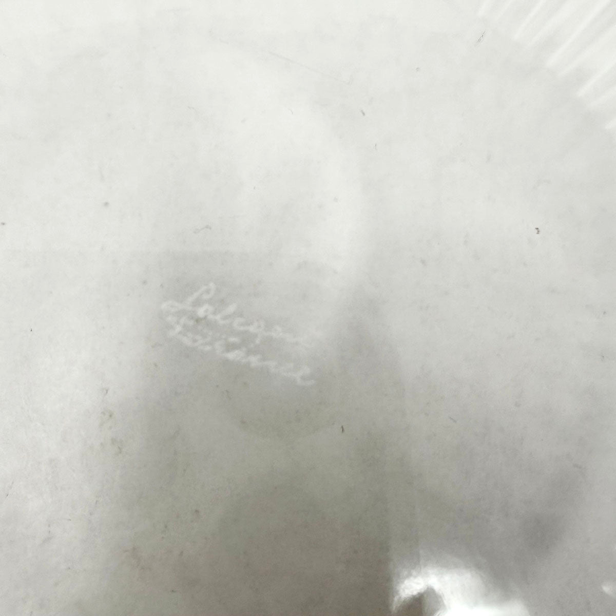 Marguerite Daisy Shallow Bowl