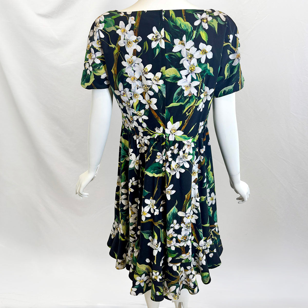 Dolce & Gabbana Dress