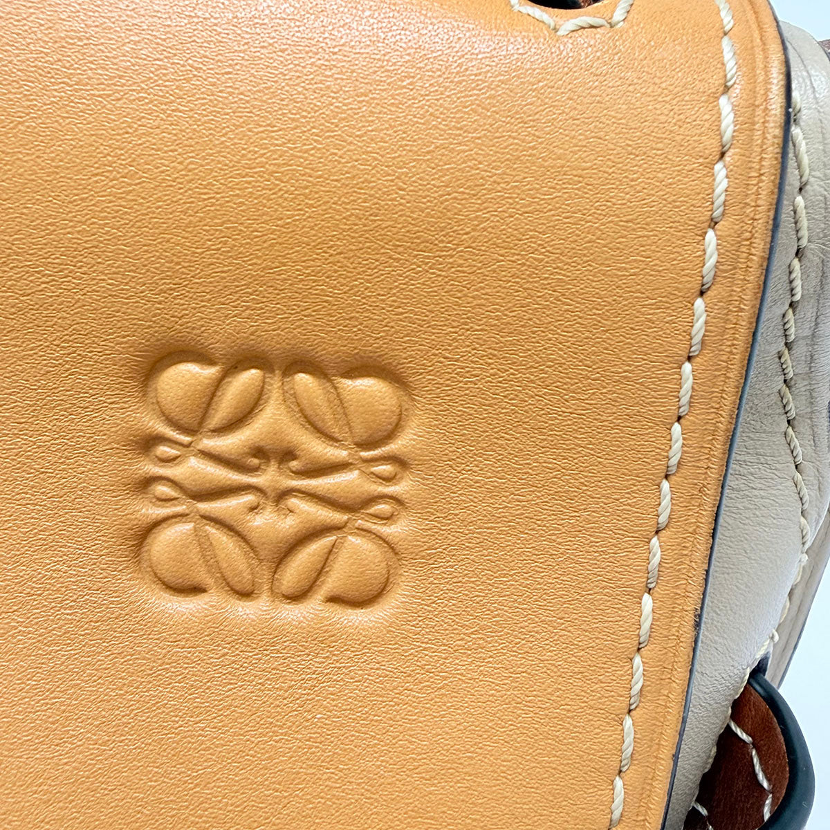 Loewe Tricolor Gate Crossbody