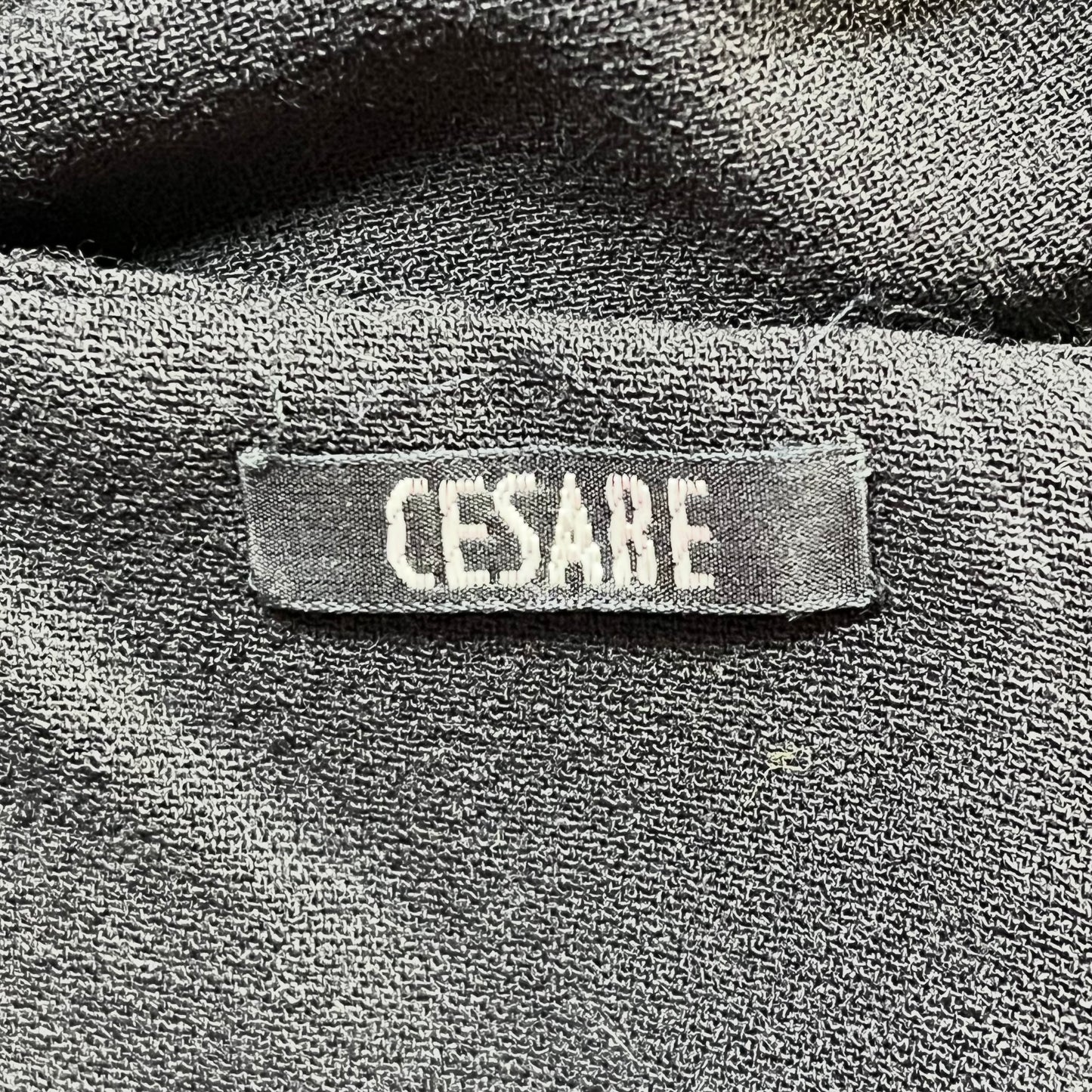 Cesare Fabbri Dress