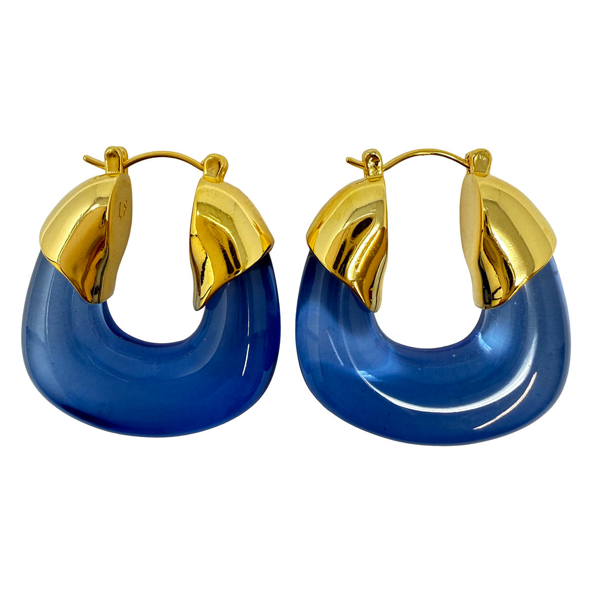 Lizzie Fortunato Resin Organic Hoop Earrings