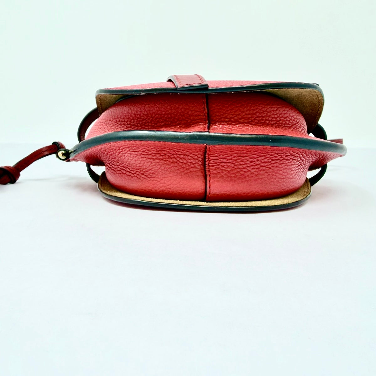 Loewe Leather Bicolor Gate Bag