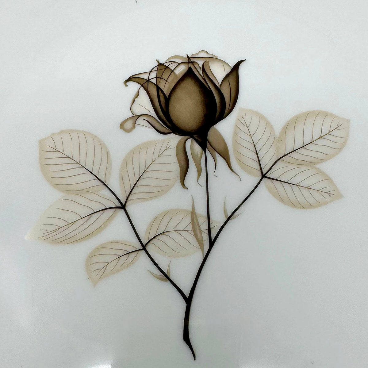 120 Pcs: 12  7 Pc  Place Settings