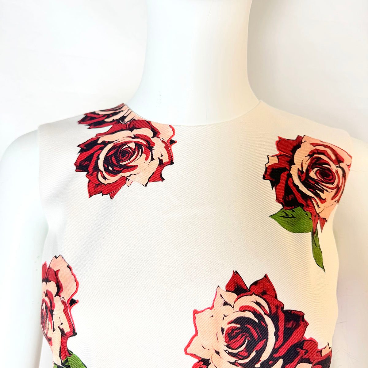 Adam Lippes Dress
