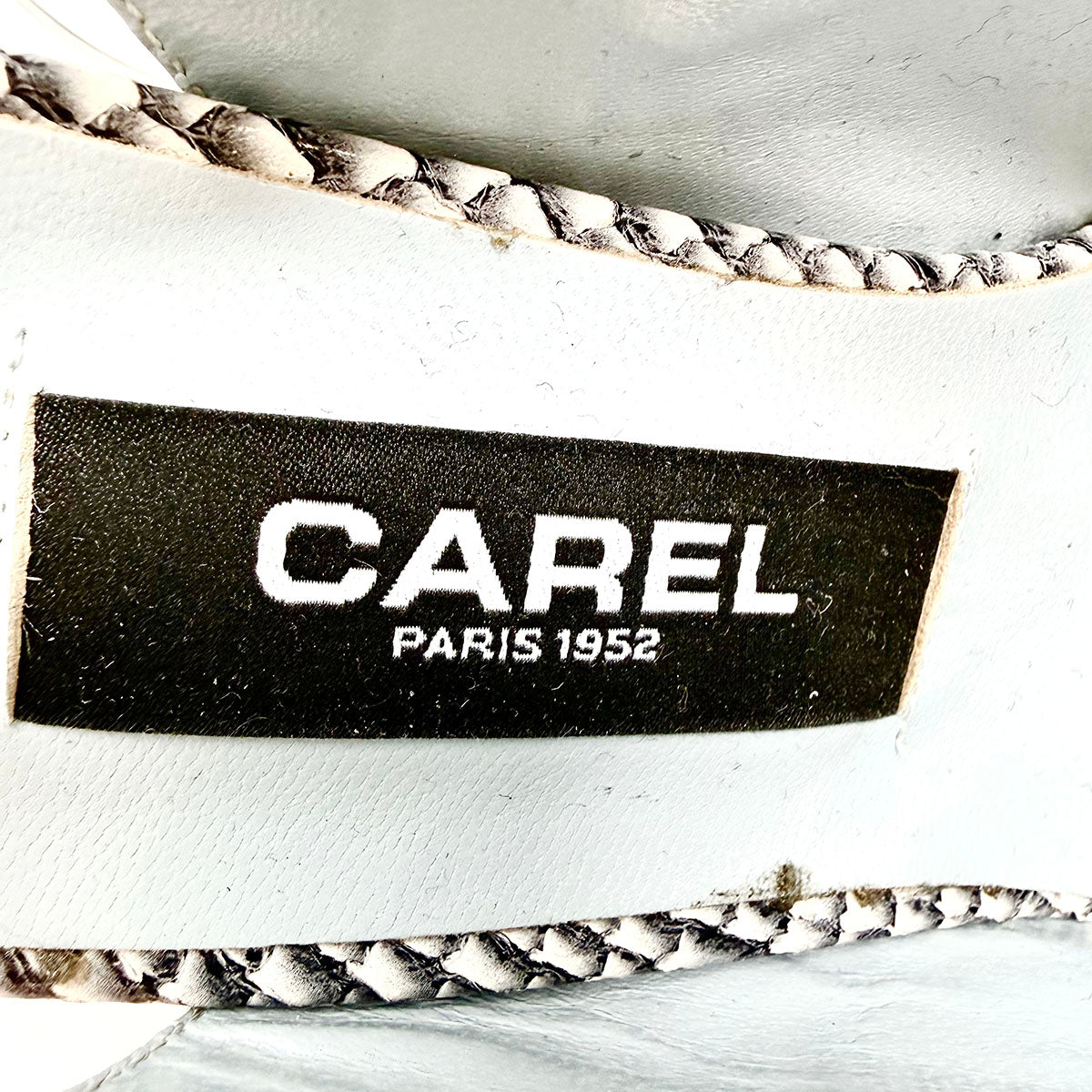 Carel Pumps