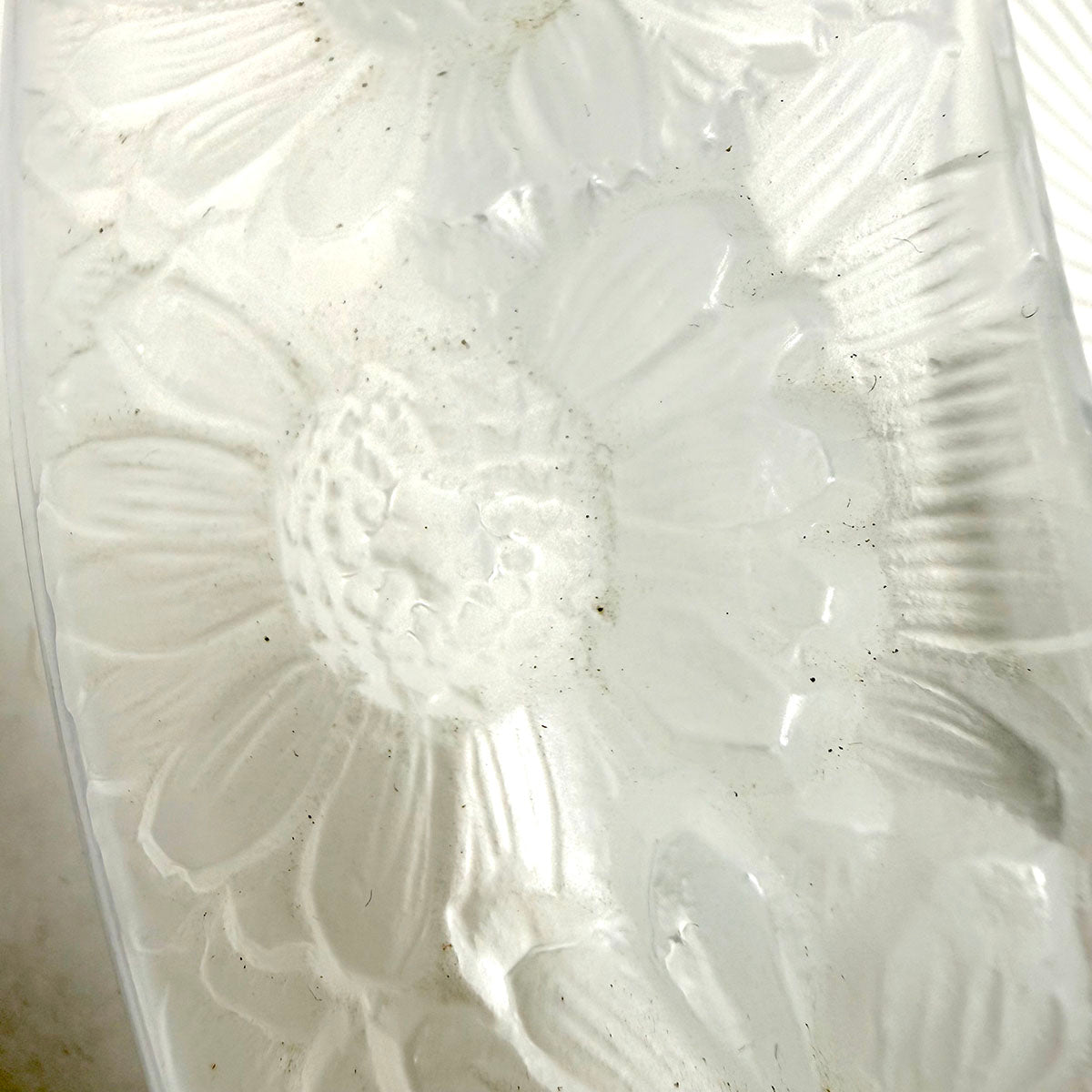 Marguerite Daisy Shallow Bowl
