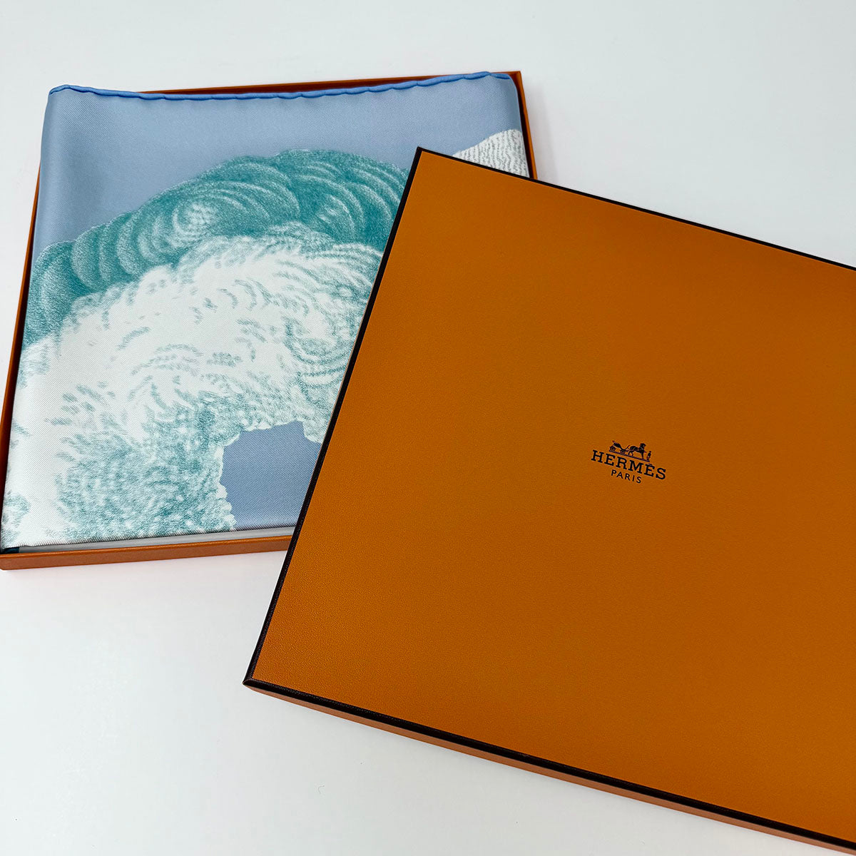 Hermes  "Plumets et Panaches" Scarf