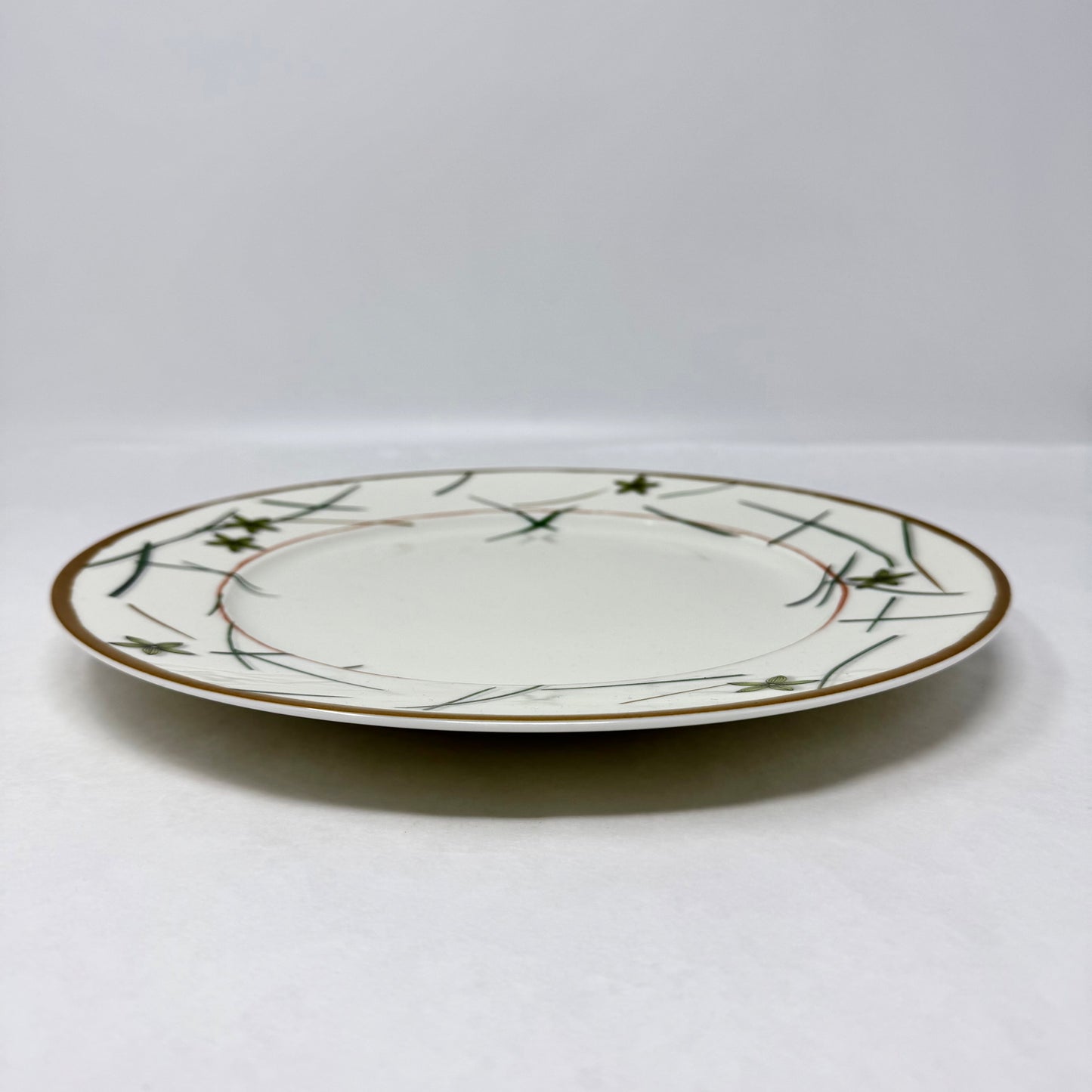 5 PC Raynaud " Nature" Buffet Plates