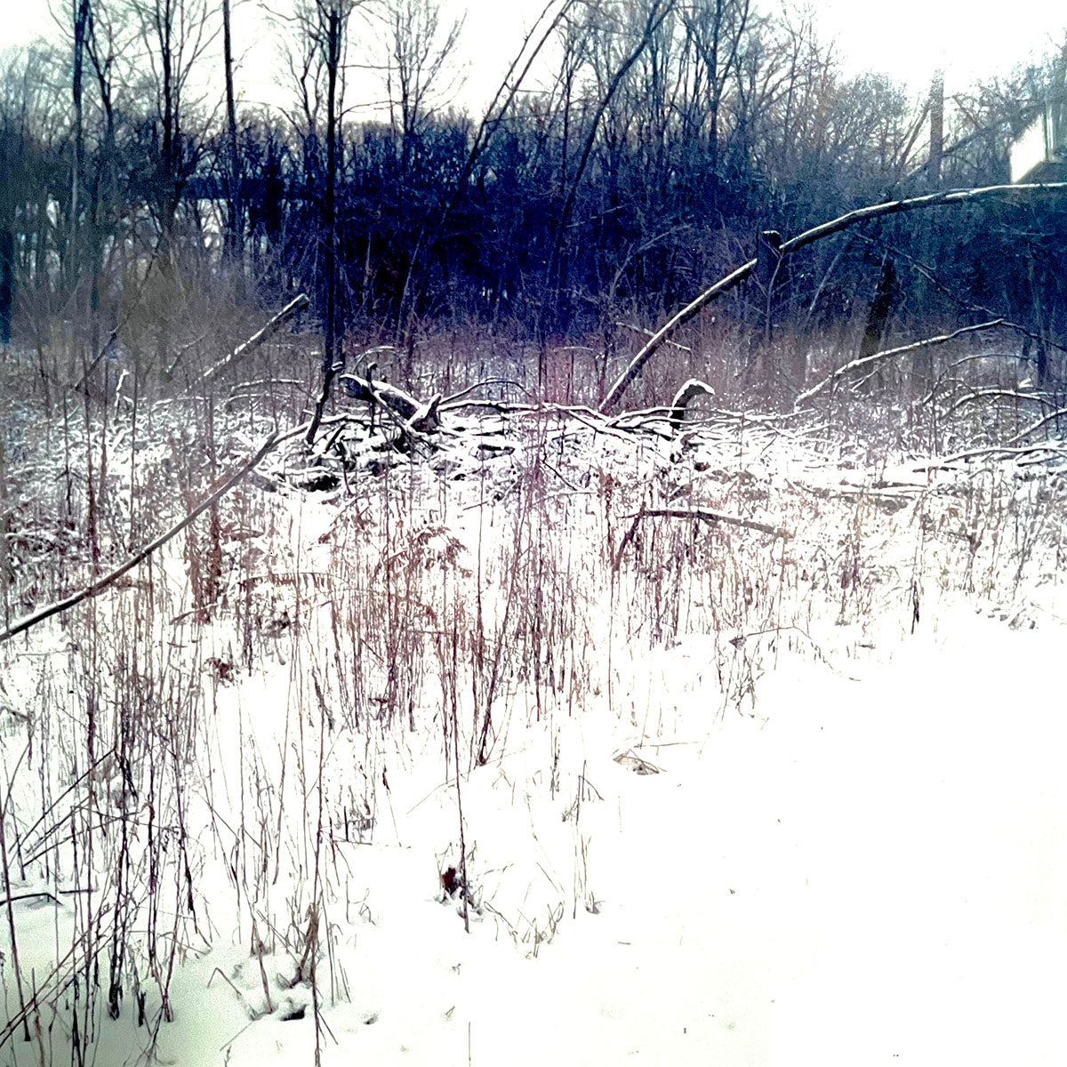 "War Monody" Diptych Signed and Dated 2004