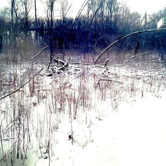 "War Monody" Diptych Signed and Dated 2004