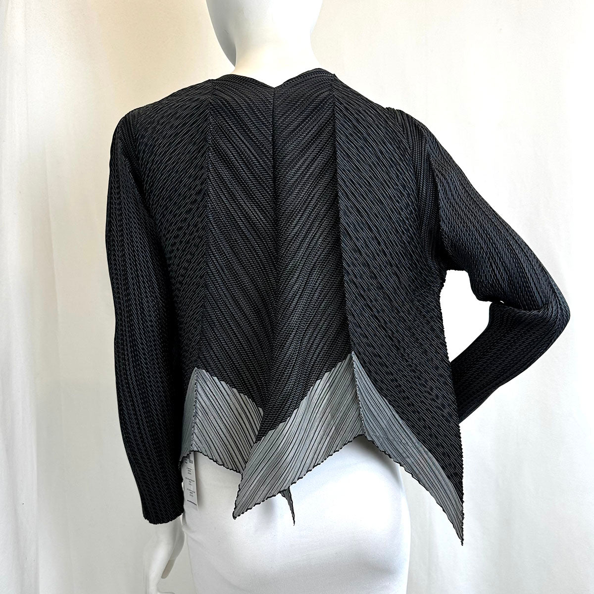 Issey Miyake Jacket