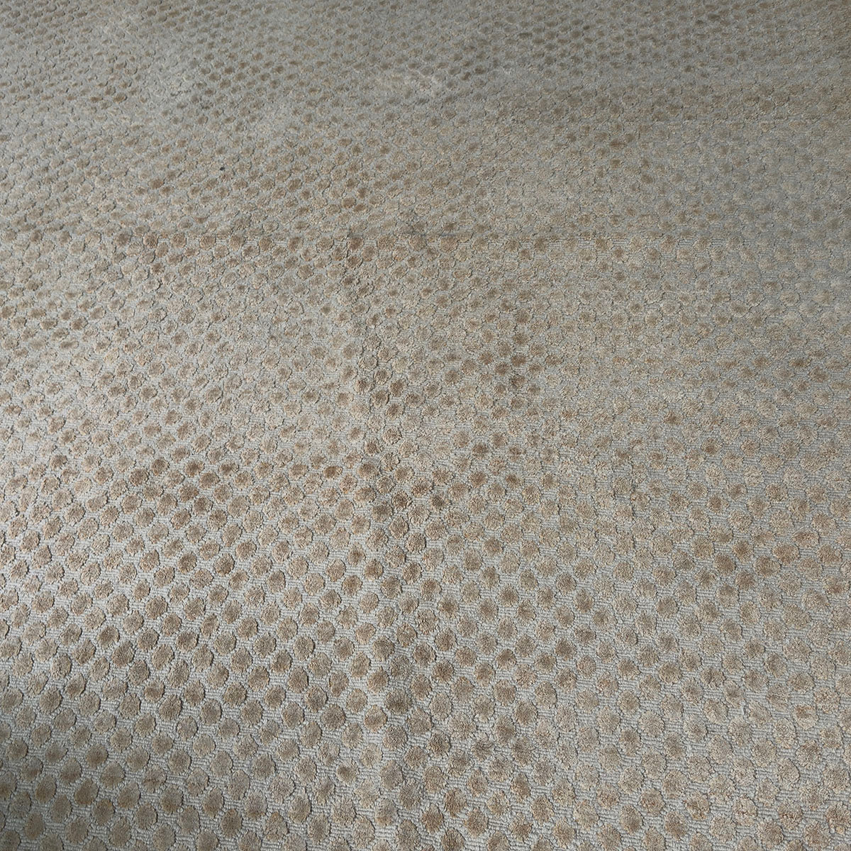 Tan Area Rug