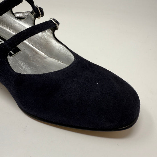 Carel Pumps