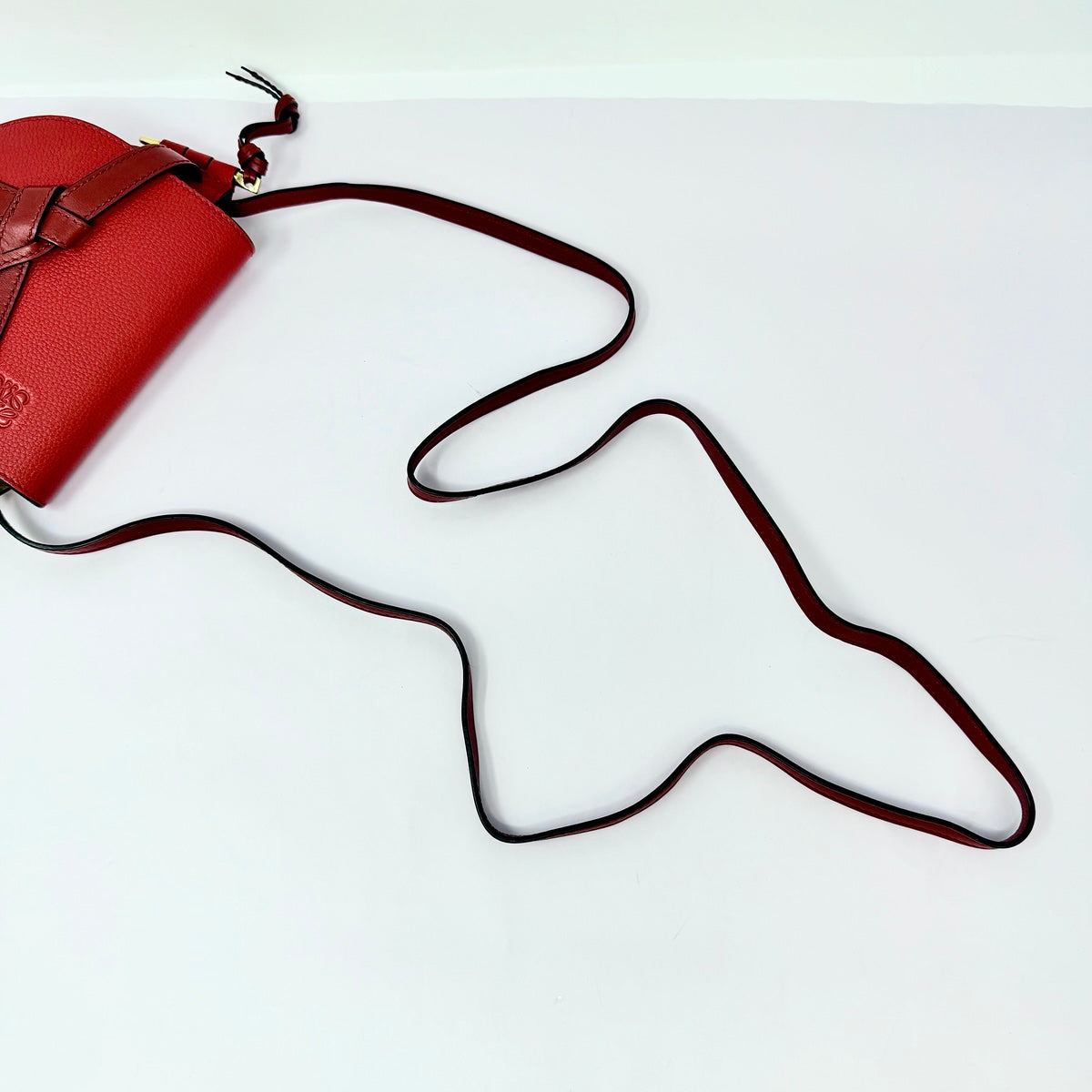 Loewe Leather Bicolor Gate Bag