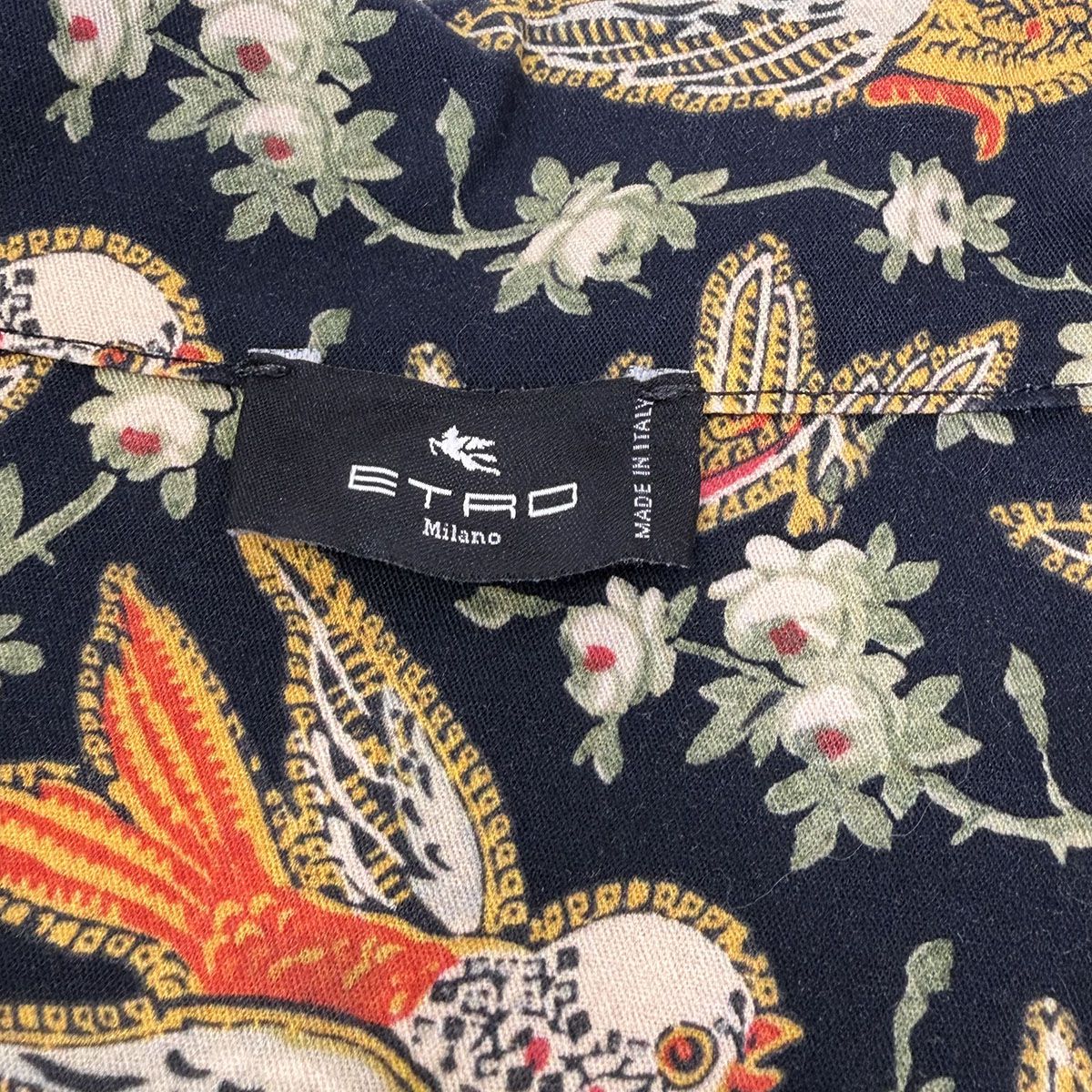Etro Dress