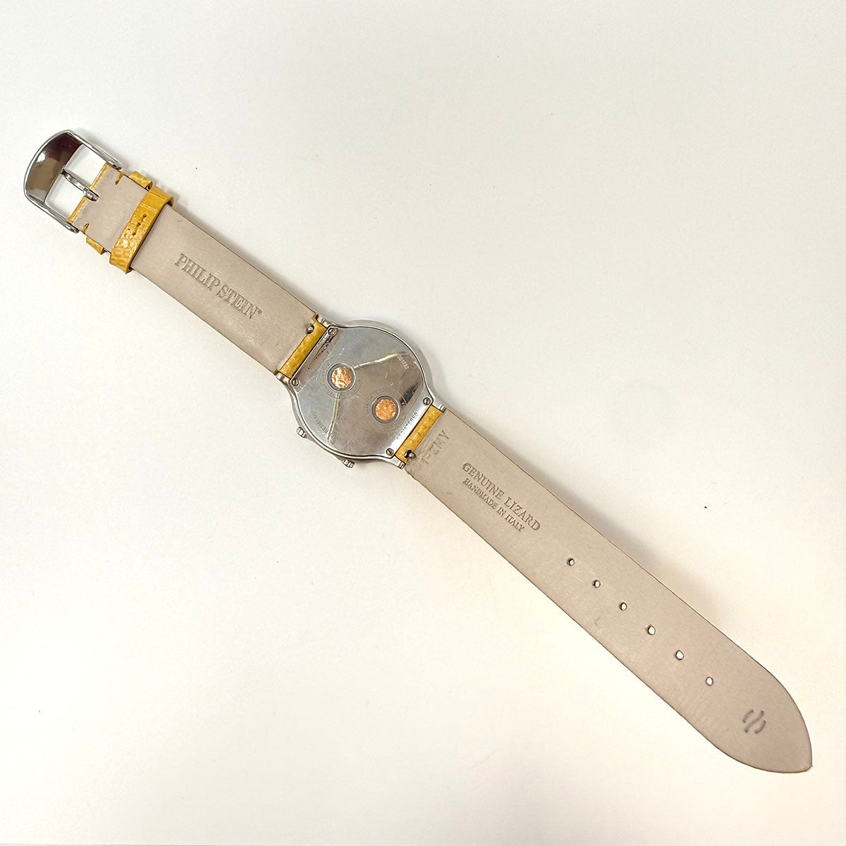 Philip Stein Watch