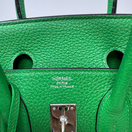 Hermes 2014 Clemence Birkin 25