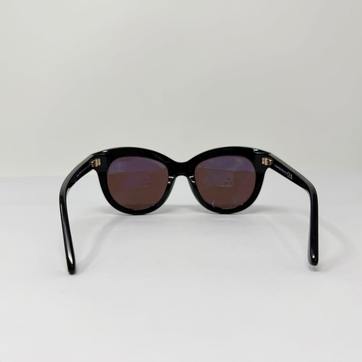Tom Ford Odette Tinted Sunglasses
