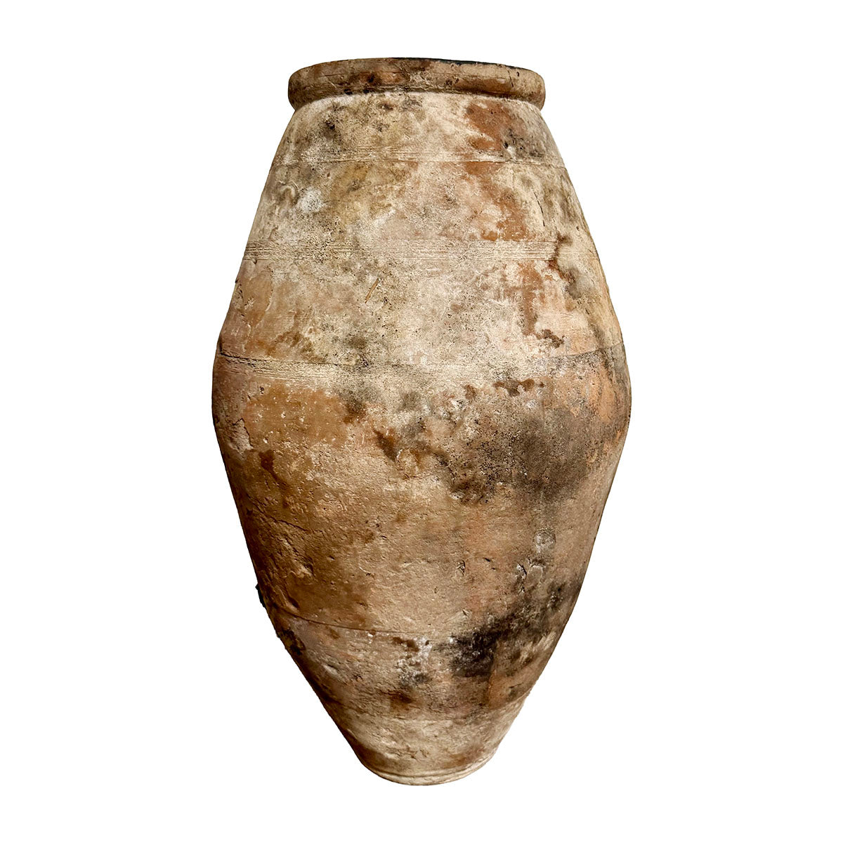 Large Olive Pot