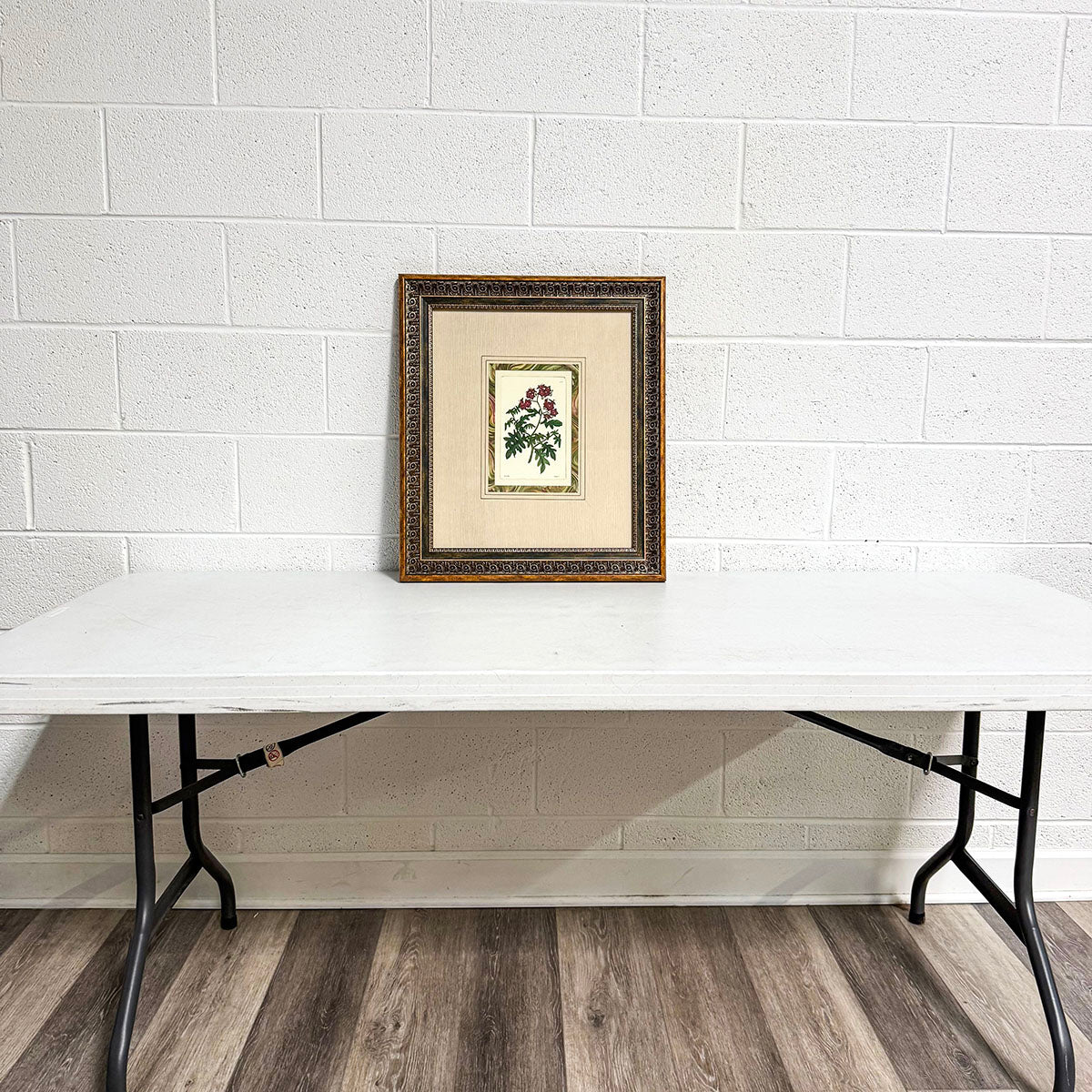 Framed Botanical Print