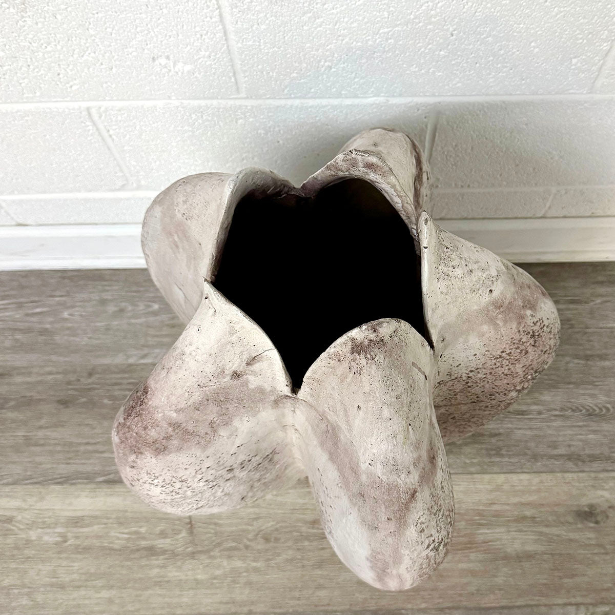 Large Organic Seed Pod Sculpture