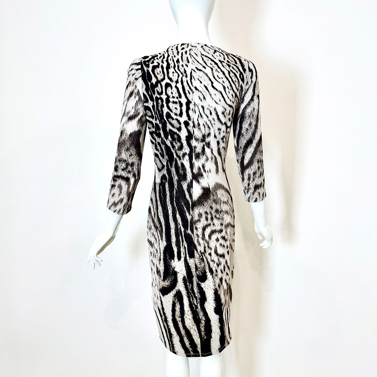Roberto Cavalli Dress