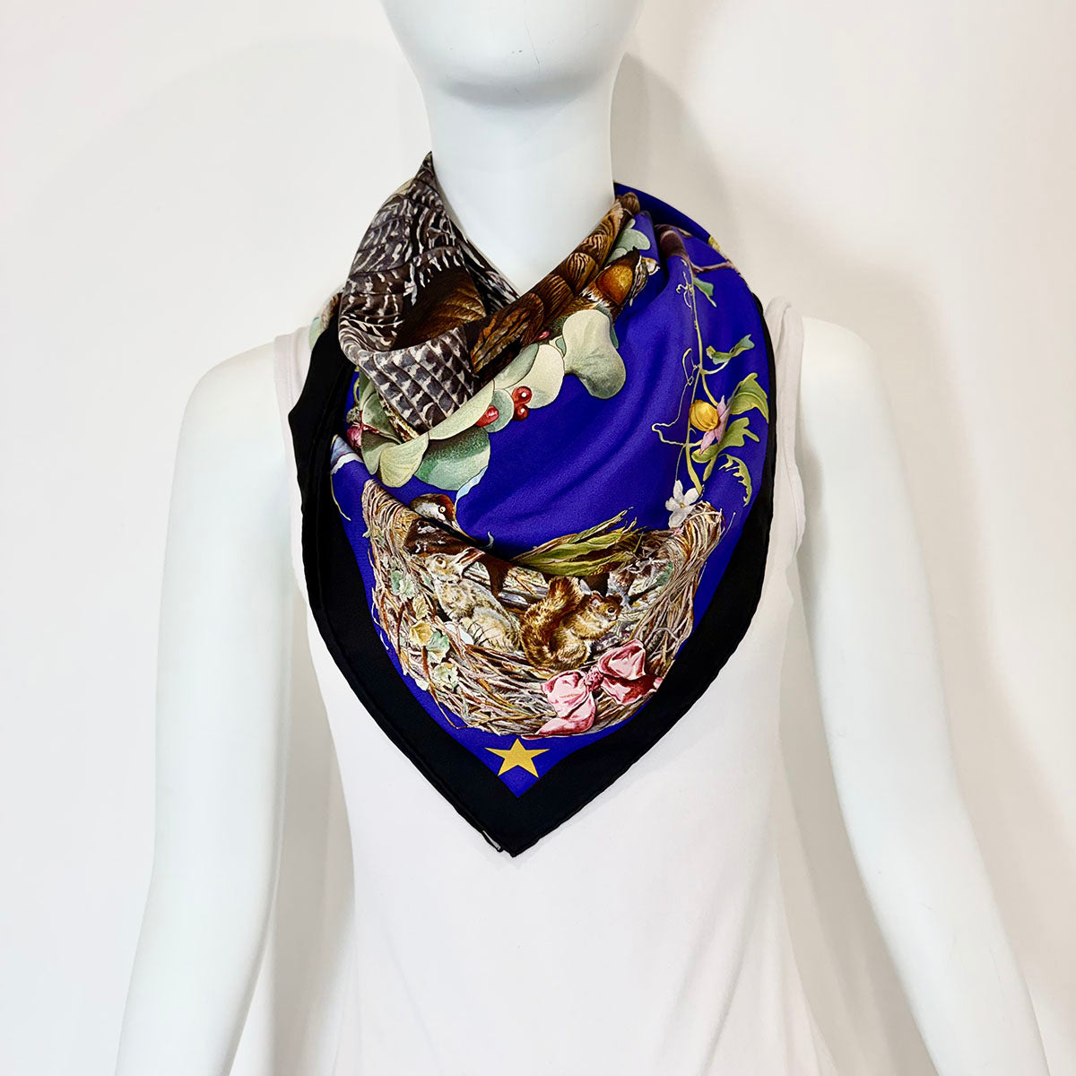 Hermes " Faune Et Flore Du Texas" Scarf