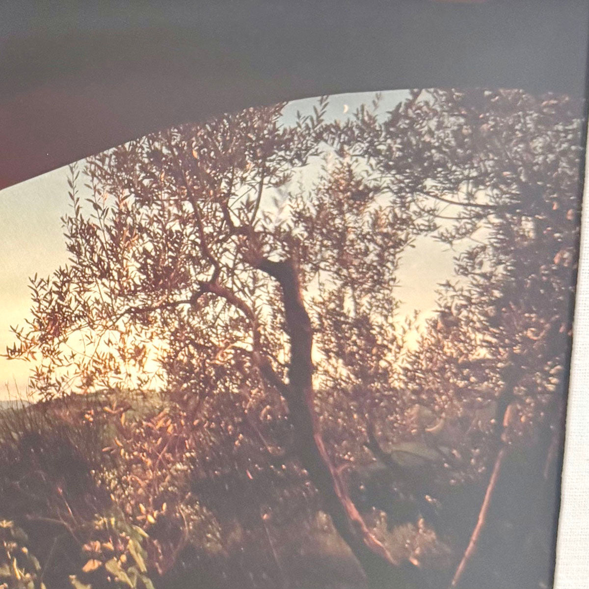 "Italian Countryside Seen Through an Archway"