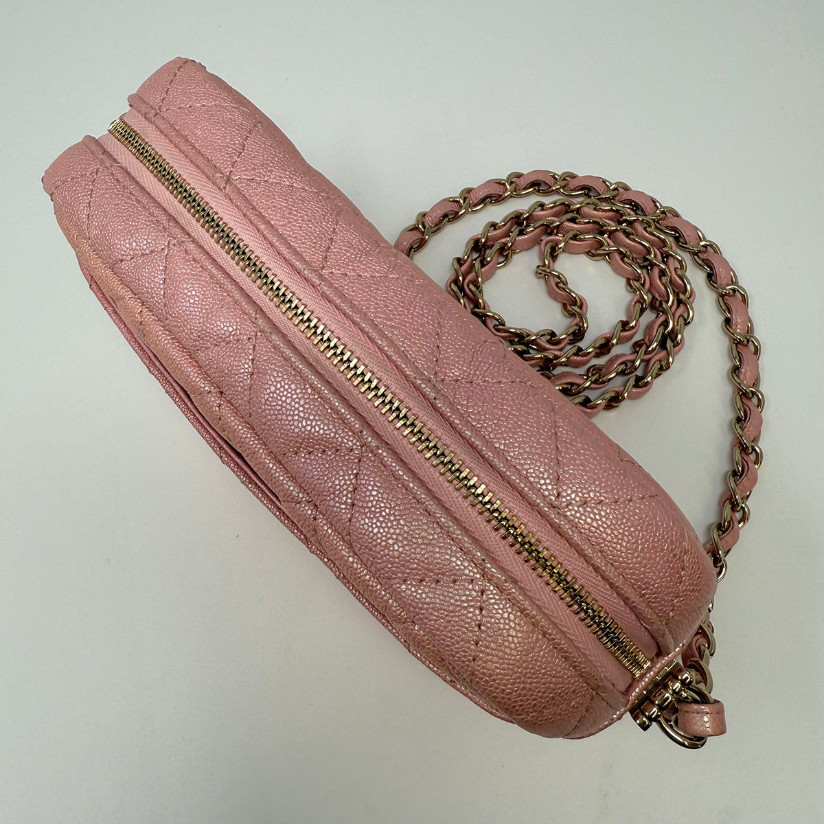 Chanel Iridescent Camera Bag