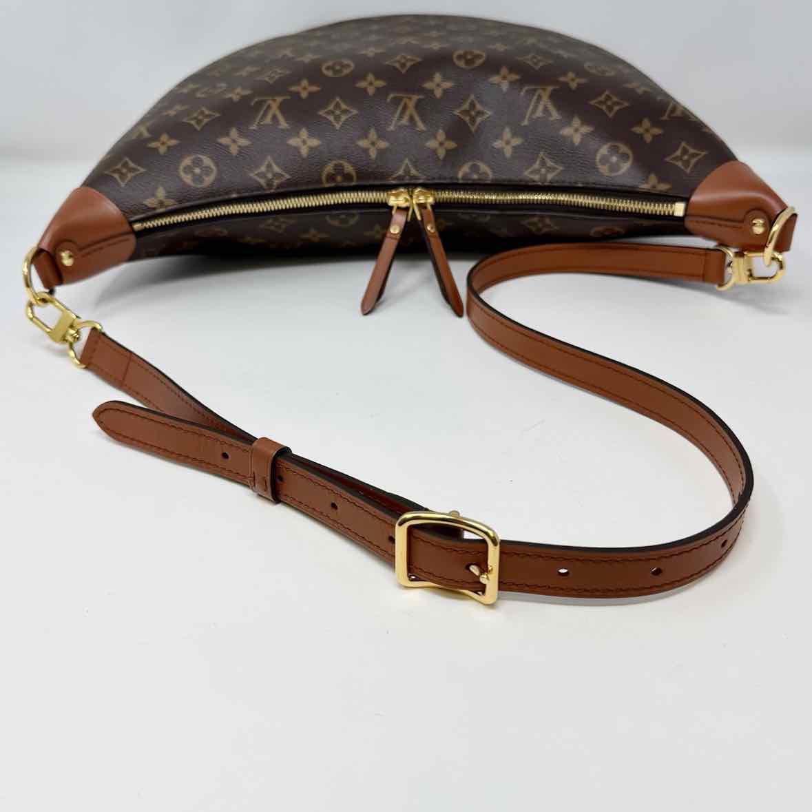Louis Vuitton Hobo