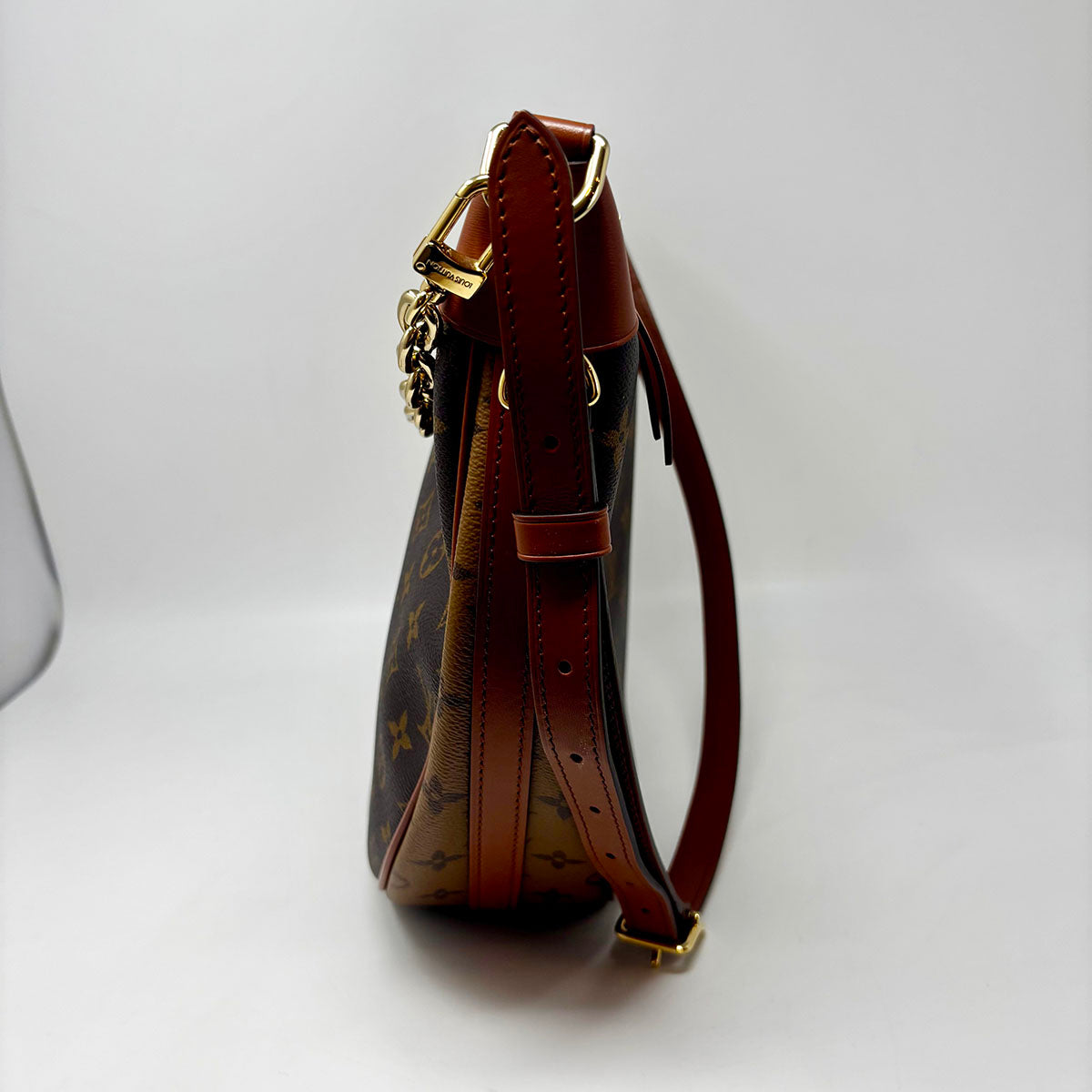 Louis Vuitton Monogram Loop Shoulder Bag