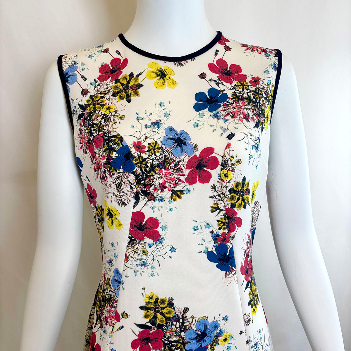 Erdem Dress
