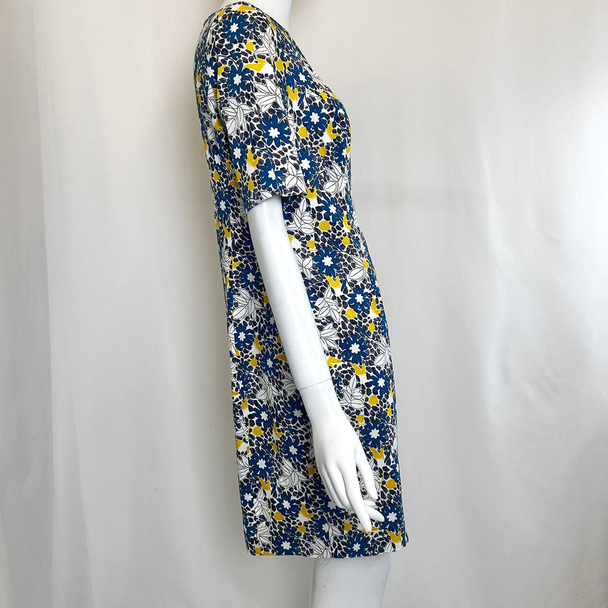 Carolina Herrera Dress