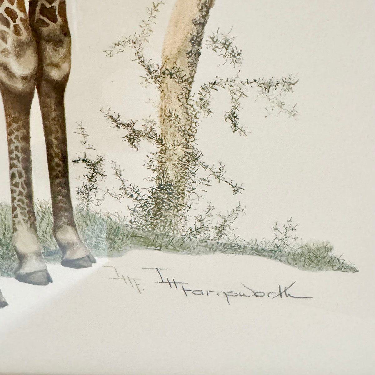 Limited Edition "Giraffe" Signed