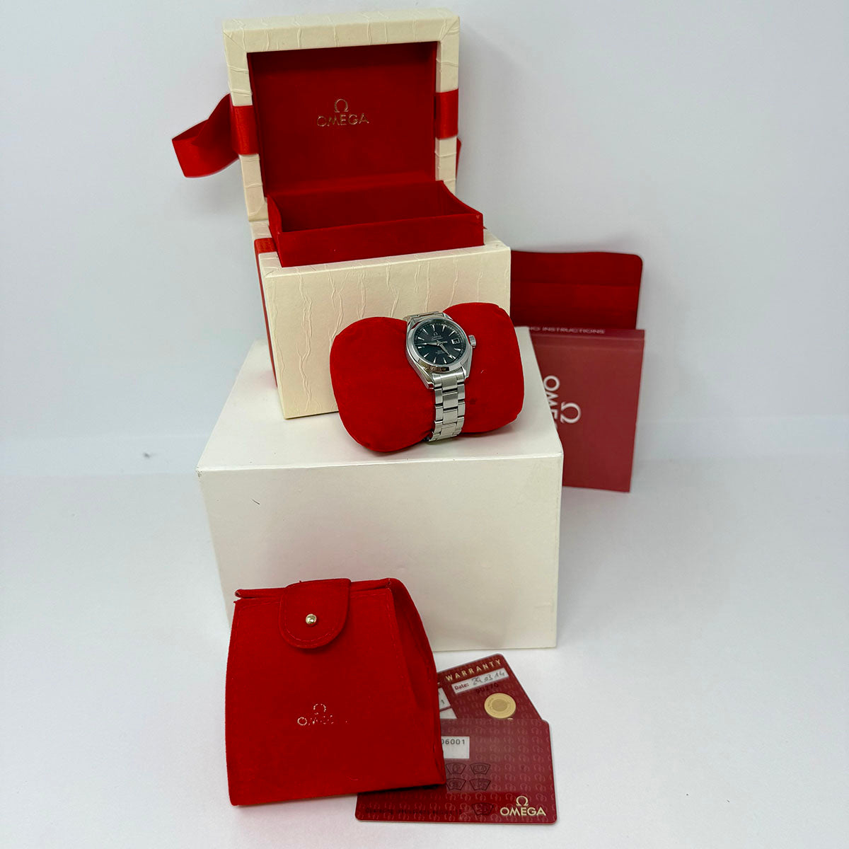 Omega Seamaster Aqua Terra Watch